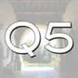 Icon of program: Q5 ~ Quantum Shifts in 5 …