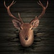 Icon of program: Big buck hunter 2016 - fr…