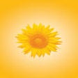 Icon of program: Living wisely, Living Wel…