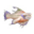 Icono de programa: GoneFishing
