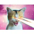 Icon of program: Laser Cats Animated