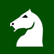 Icon of program: Diamond Chess at FICS & I…
