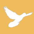 Icono de programa: MyPigeon App