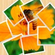 Icon of program: Pictify Photo Collage