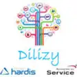 Icon of program: Dilizy