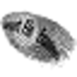 Icono de programa: Smart File Examiner