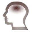 Icon of program: Headache & Migraine Diary